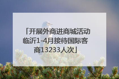 开展外商进商城活动 临沂1-4月接待国际客商13233人次