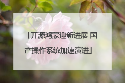 开源鸿蒙迎新进展 国产操作系统加速演进