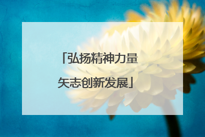 弘扬精神力量 矢志创新发展