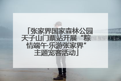 张家界国家森林公园天子山门票站开展“粽情端午·乐游张家界”主题宠客活动