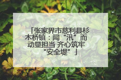 张家界市慈利县杉木桥镇：闻“汛”而动显担当 齐心筑牢“安全堤”