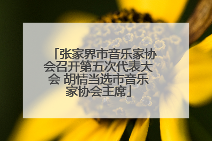 张家界市音乐家协会召开第五次代表大会 胡情当选市音乐家协会主席