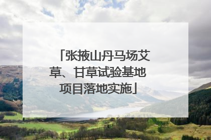 张掖山丹马场艾草、甘草试验基地项目落地实施