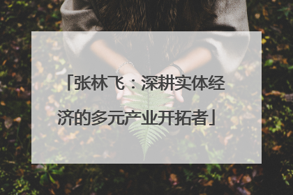 张林飞：深耕实体经济的多元产业开拓者