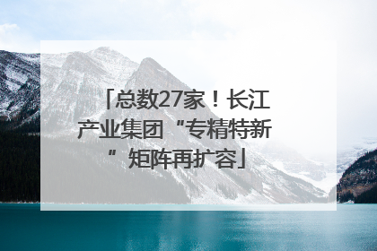 总数27家！长江产业集团“专精特新”矩阵再扩容