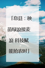 息县：秧苗绿浪接麦浪 科技赋能抢农时