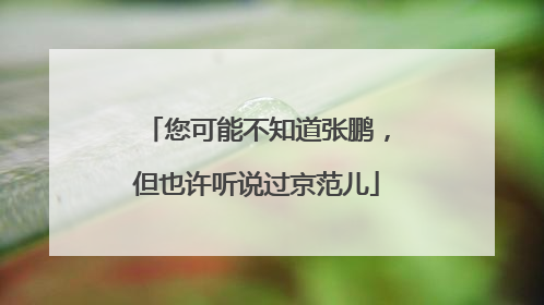 您可能不知道张鹏，但也许听说过京范儿