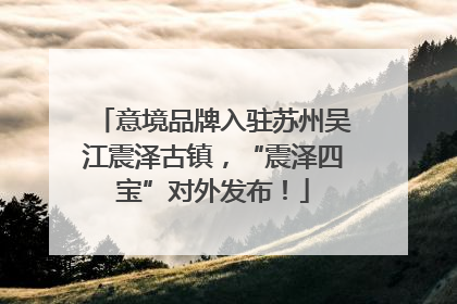 意境品牌入驻苏州吴江震泽古镇，“震泽四宝”对外发布！