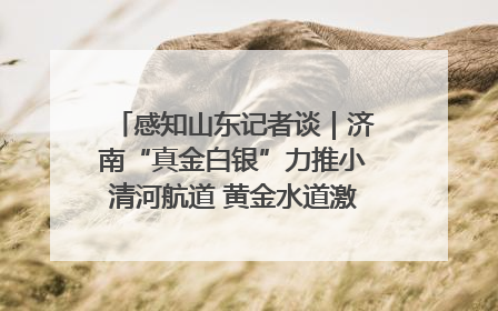 感知山东记者谈｜济南“真金白银”力推小清河航道 黄金水道激活区域经济新动能