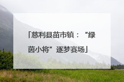 慈利县苗市镇：“绿茵小将”逐梦赛场