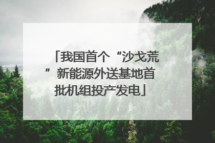 我国首个“沙戈荒”新能源外送基地首批机组投产发电