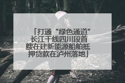 打通“绿色通道” 长江干线四川段首艘在建新能源船舶抵押贷款在泸州落地