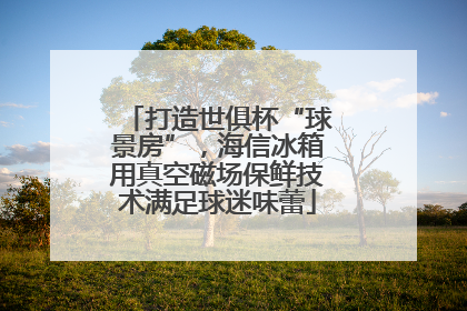 打造世俱杯“球景房”，海信冰箱用真空磁场保鲜技术满足球迷味蕾