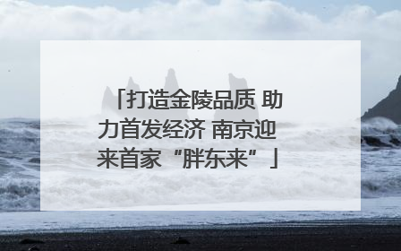 打造金陵品质 助力首发经济 南京迎来首家“胖东来”