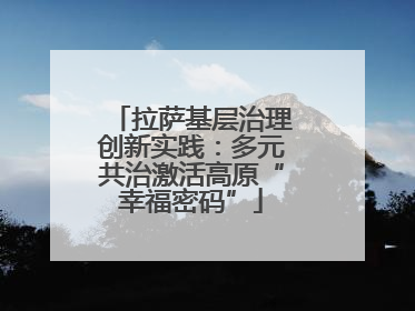 拉萨基层治理创新实践：多元共治激活高原“幸福密码”