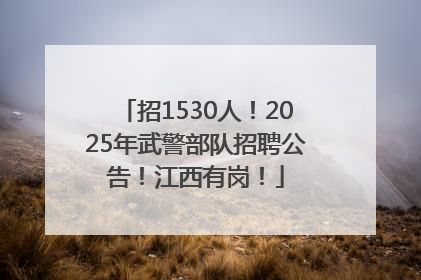 招1530人！2025年武警部队招聘公告！江西有岗！