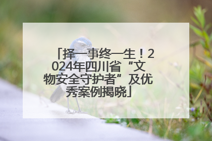 择一事终一生！2024年四川省“文物安全守护者”及优秀案例揭晓