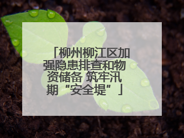 柳州柳江区加强隐患排查和物资储备 筑牢汛期“安全堤”