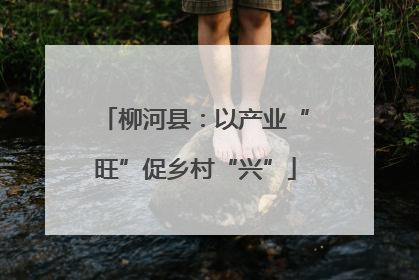 柳河县：以产业“旺”促乡村“兴”