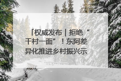 权威发布｜拒绝“千村一面”！东阿差异化推进乡村振兴示范片区建设