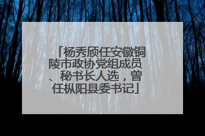 杨秀颀任安徽铜陵市政协党组成员、秘书长人选，曾任枞阳县委书记