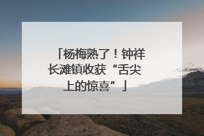 杨梅熟了！钟祥长滩镇收获“舌尖上的惊喜”