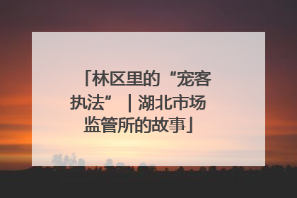 林区里的“宠客执法”｜湖北市场监管所的故事