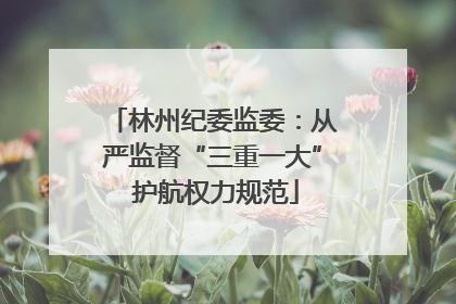林州纪委监委：从严监督“三重一大” 护航权力规范