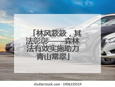 林风簌簌，其法彰彰——森林法有效实施助力青山常翠