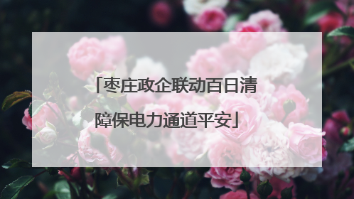 枣庄政企联动百日清障保电力通道平安