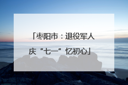 枣阳市：退役军人庆“七一”忆初心
