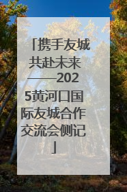 携手友城 共赴未来——2025黄河口国际友城合作交流会侧记