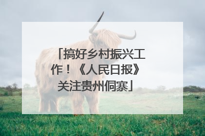 搞好乡村振兴工作！《人民日报》关注贵州侗寨