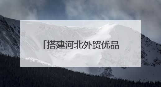 搭建河北外贸优品“卖全球”新通道