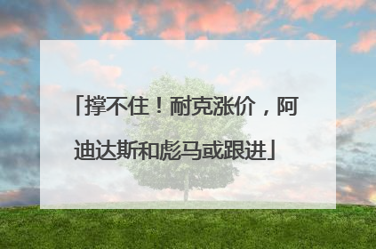 撑不住！耐克涨价，阿迪达斯和彪马或跟进