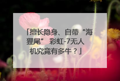 擅长隐身、自带“海狸尾” 彩虹-7无人机究竟有多牛？