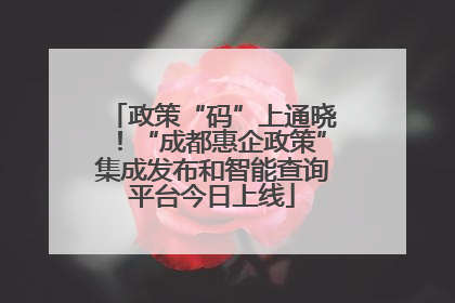 政策“码”上通晓！“成都惠企政策”集成发布和智能查询平台今日上线