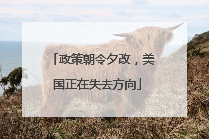 政策朝令夕改，美国正在失去方向