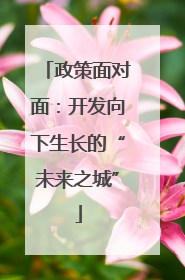 政策面对面：开发向下生长的“未来之城”