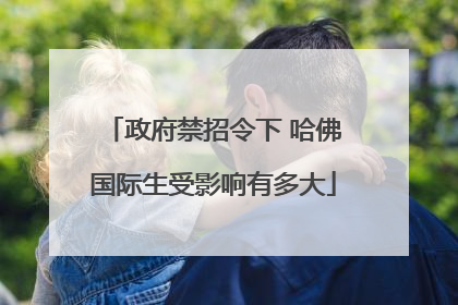 政府禁招令下 哈佛国际生受影响有多大