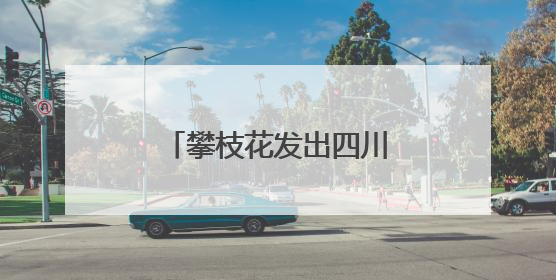 攀枝花发出四川首张“户籍人口直系亲属关系谱”