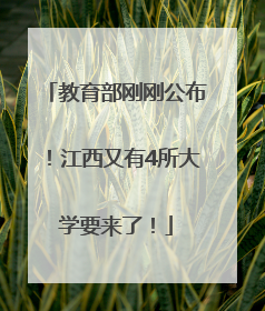 教育部刚刚公布！江西又有4所大学要来了！