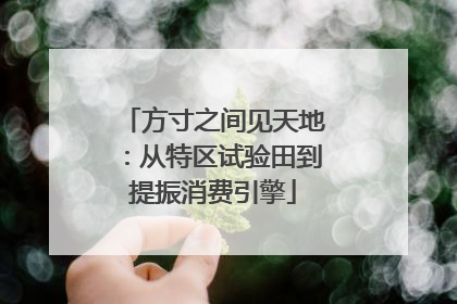 方寸之间见天地：从特区试验田到提振消费引擎