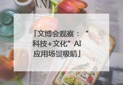 文博会观察：“科技+文化”AI应用场景吸睛