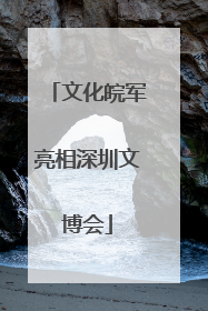 文化皖军亮相深圳文博会