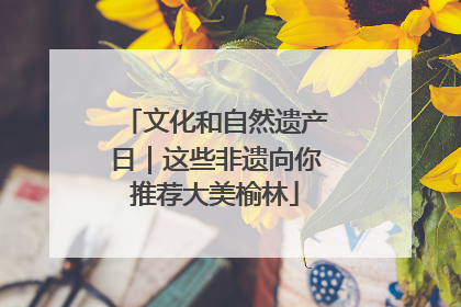 文化和自然遗产日｜这些非遗向你推荐大美榆林