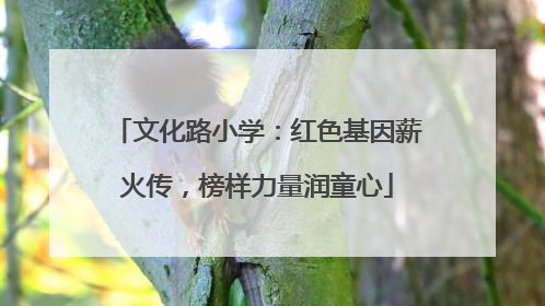 文化路小学：红色基因薪火传，榜样力量润童心