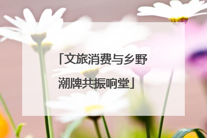 文旅消费与乡野潮牌共振响堂