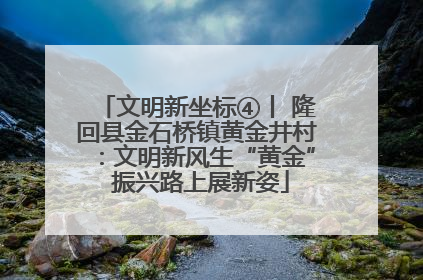 文明新坐标④丨 隆回县金石桥镇黄金井村：文明新风生“黄金” 振兴路上展新姿