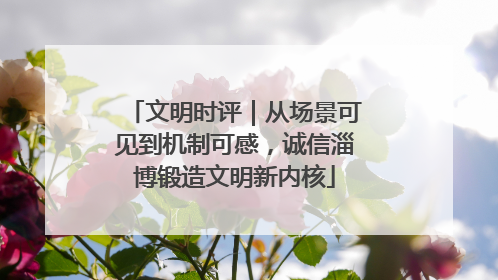 文明时评｜从场景可见到机制可感，诚信淄博锻造文明新内核